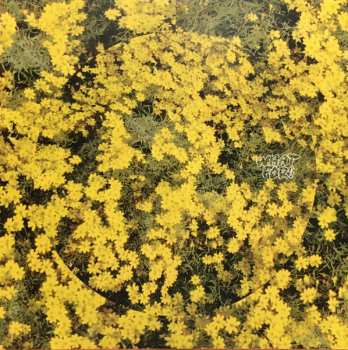 CD Toro Y Moi: What For?