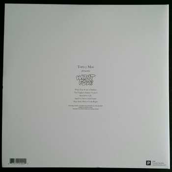 LP Toro Y Moi: What For? LTD | DLX | CLR