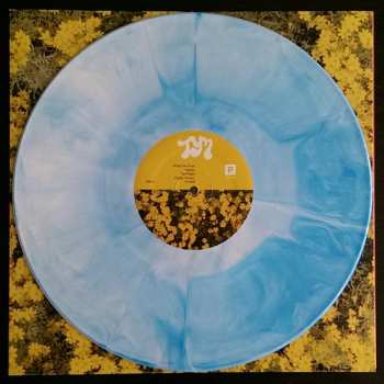 LP Toro Y Moi: What For? LTD | DLX | CLR