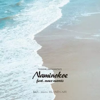Naminokoe Feat. Maco Marets