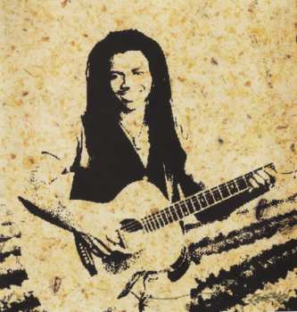 CD Tracy Chapman: New Beginning