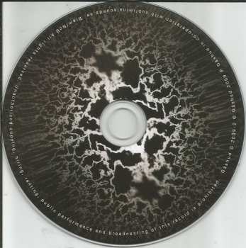 CD Träd, Gräs Och Stenar: Hemlösa Katter / Homeless Cats