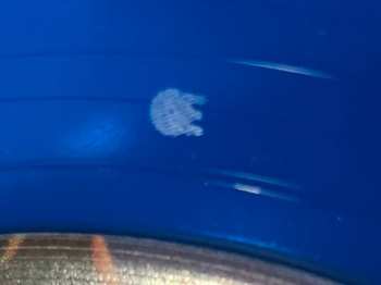 LP The Trash Can Sinatras: Weightlifting CLR