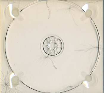 CD Triosk: Moment Returns