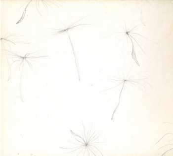 CD Triosk: Moment Returns