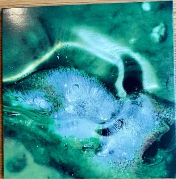 CD Tristan Arp: A Pool, A Portal