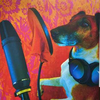 LP Tropical Fuck Storm: A Laughing Death In Meatspace  LTD | CLR