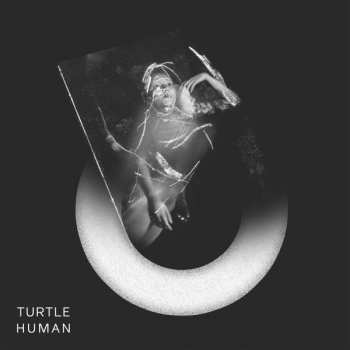 LP Turtle: Human LTD | CLR