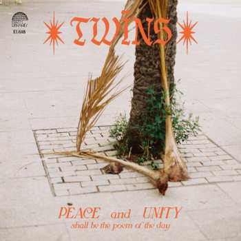 Album Twins: Healing Dreams