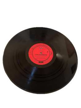 LP Ty Segall: Love Rudiments