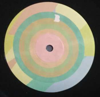 LP Ty Segall: Melted