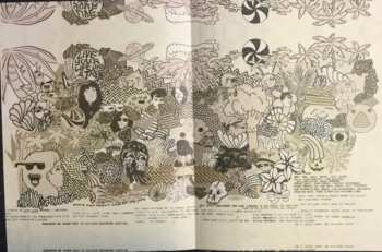 LP Ty Segall: Melted