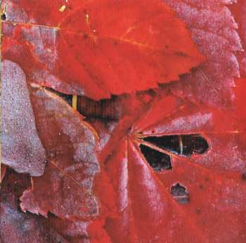 CD Type O Negative: October Rust