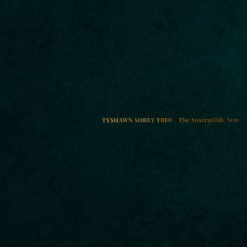 CD Tyshawn Sorey Trio: The Susceptible Now