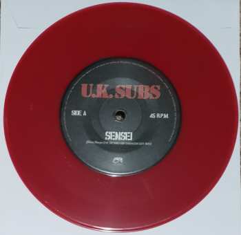 SP UK Subs: Sensei LTD | CLR