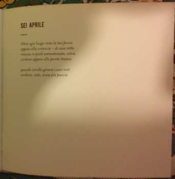 CD Umberto Maria Giardini: Protestantesima