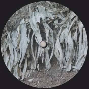 LP UnicaZürn: Transpandorem