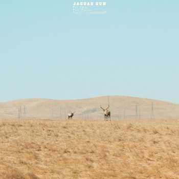 LP For You (blue/black Swirl Vinyl)