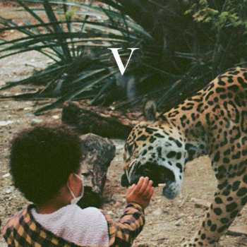 Album Unknown Mortal Orchestra: V