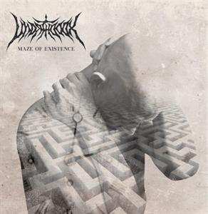 Album Unorthodox: Maze Of Existence