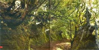 CD Saxon: Unplugged And Strung Up