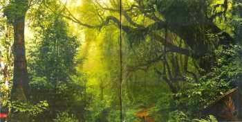 CD Saxon: Unplugged And Strung Up