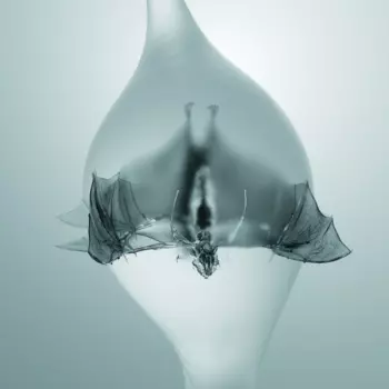 Unprocessed: Angel