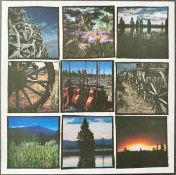 LP Unwritten Law: From Music In High Places CLR | LTD | NUM