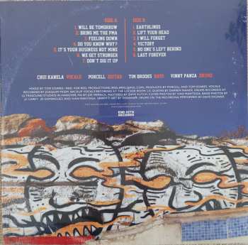 LP Values Here: Take Your Time, I'll Be Waiting CLR | LTD | NUM