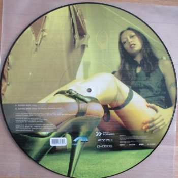 5LP/Caja Various: 12" Collector's Picture Disc Box LTD | PIC
