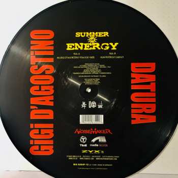 5LP/Caja Various: 12" Collector´s Vinyl Box LTD | NUM | PIC
