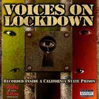 CD Various: Voices On Lockdown