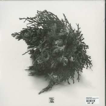2LP Various: Flowers From The Ashes: Contemporary Italian Electronic Music