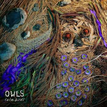 Album Various: For The Birds: The Birdsong Project
