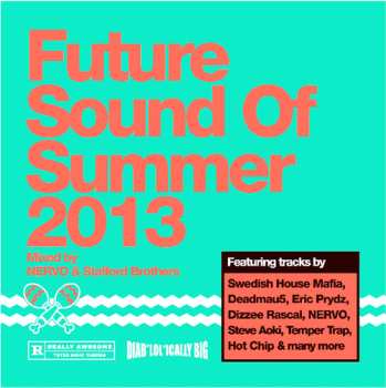 2CD Various: Future Sound Of Summer 2013