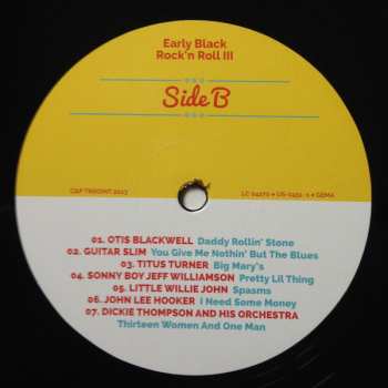 2LP Various: Please Don't Freeze (Early Black Rock'n Roll III) LTD