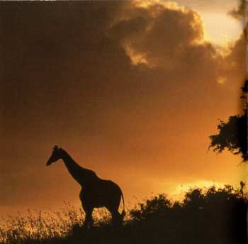 CD Various: Putumayo Kids Presents African Dreamland DIGI