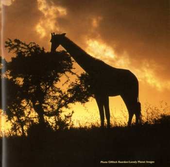 CD Various: Putumayo Kids Presents African Dreamland DIGI