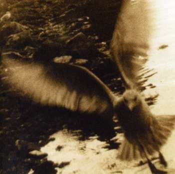 Album Various: Take Me Home | A Tribute To John Denver