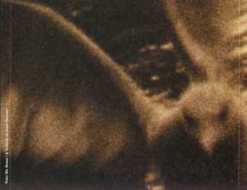 CD Various: Take Me Home | A Tribute To John Denver