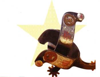 CD Various: The Country Album