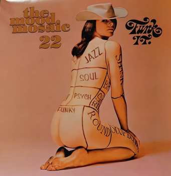 Album Various: Mood Mosaic 22