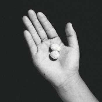 Album Various: Umarete Wa Mita Keredo