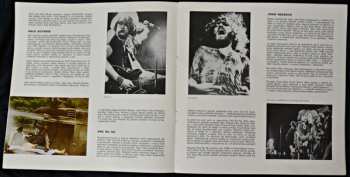 3LP/Caja Various: Woodstock