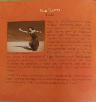 CD Various: World Yoga