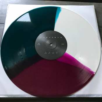 LP Vasudeva: Life In Cycles