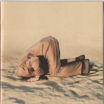 CD Vdelli: Ain't Bringing Me Down