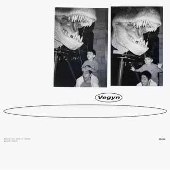 Vegyn: Only Diamonds Cut Diamonds