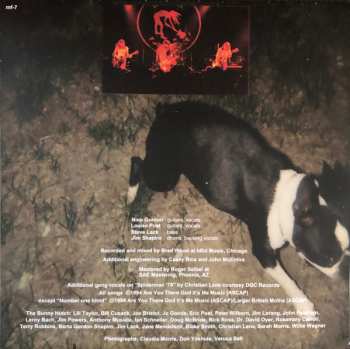 LP Veruca Salt: American Thighs