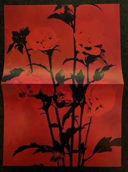 LP Virgin Orchestra: Let It Burn